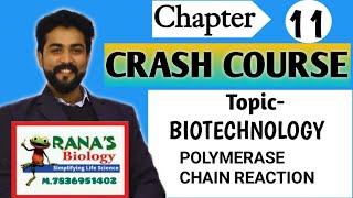 CLASS XII  BIOLOGY  IMPORTANT TOPICS  BOARDS  BIOTECHNOLOGY  POLYMERASE CHAIN REACTION [upl. by Esiocnarf]