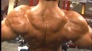 Bodybuilder Armon Adibi training back [upl. by Assenej]