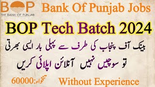 Bank of Punjab Jobs Online apply 2024BOP Tech Batch jobs 2024Government Bank jobs 2024 [upl. by Bronder]