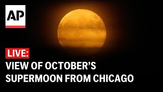 LIVE View of October’s supermoon from Chicago [upl. by Elinad]