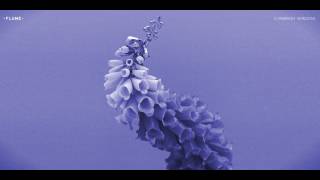 Flume  3 Ambient Version [upl. by Hugh57]