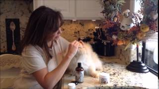 How to Eye Envy Tear Stain Remover for Cats [upl. by Elehcir215]