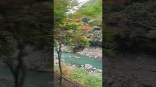 ARASHIYAMA AUTUMN TOROKKO 嵐山トロッコ [upl. by Firehs]