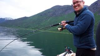 Sej Eventyr i Romsdalfjord Norge 2015  Coalfish on Speedjig in Romsdal Fjord [upl. by Fotzsyzrk754]