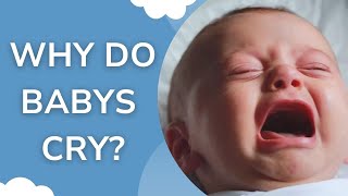 Why Do Babies Cry newborn parentingtips parentingjourney baby cryingbaby [upl. by Grosmark]