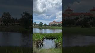 Tiburon Golf Club Naples Florida [upl. by Luckin]