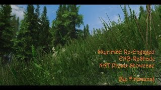 SkyrimSE ReEngaged ENBReShade NAT Ultimate Preset V301a [upl. by Kitty870]