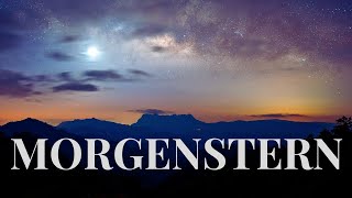 Morgenstern Lyric Video [upl. by Odnalra]