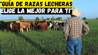 Las Mejores Razas de Vacas Lecheras Guía Completa para Elegir la Mejor para Tu Granja [upl. by Ainniz]