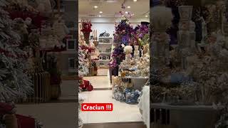 Sarbatoarea craciunului se simte deja peste tot  vlog christmas craciun [upl. by Devine381]