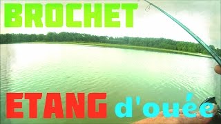 Pêche du brochet étang douée [upl. by Odericus]