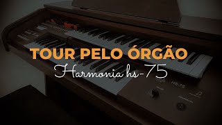 Órgão Harmonia HS75 Tour Completo [upl. by Charlean]