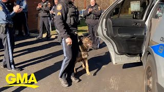 Retiring police dog gets standing ovation as he leaves department for last time [upl. by Cally244]