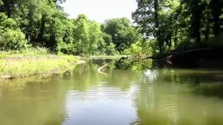 FISH4FUN KAYAK FISHING WEABLEAU CREEK [upl. by Shyamal]