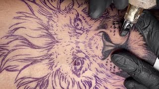 Lion tattoo  Time lapse [upl. by Munt431]