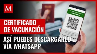 Certificado de vacunación covid así puedes descargarlo vía WhatsApp [upl. by Honeywell]