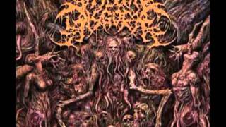 Visceral Disgorge  Skullfucking Neonatal Necrosis Lyrics [upl. by Survance532]