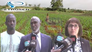 VALORISATION DU GAZ DÉCOUVERT AU LARGE DU SÉNÉGAL PETROSEN ANNONCE DE BELLES PERSPECTIVES AVEC LE [upl. by Eeryn]