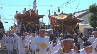 20240913 岸和田だんじり祭 試験曳き2回目 疎開道 “やりまわし”など 令和六年九月十三日金 Kishiwada Danjiri Matsuri 地車祭 旧市 [upl. by Nylecaj547]