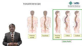 Técnicas Radiológicas Video Clase 14 Columna Vertebral [upl. by Nylrem]