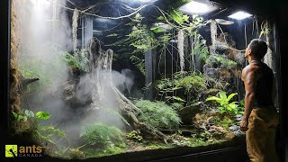 Invasive Ants Broke Into My Giant Rainforest Vivarium [upl. by Atul]