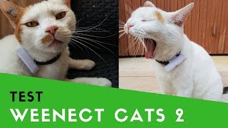 Weenect Cats 2  Test du traceur GPS pour chat [upl. by Natsyrk366]