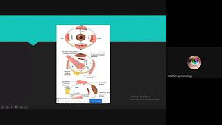 anatomy of extraocular muscles by Dr Swapnil Vidhate [upl. by Rhea]