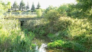 Montgomery Creek Park to Conestoga Parkway Kitchener ON Canada [upl. by Oak]