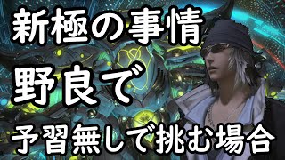 FF14初心者向け！最新の極でネタバレ食らってモヤモヤ？極の情勢話します [upl. by Oicnedif79]