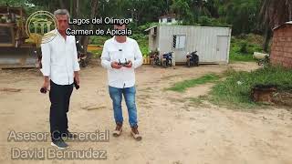 Venta de lotes en Lagos del Olimpo  Carmen de Apicalá Noviembre 10 2024 Video Drone 3214856807 [upl. by Ardelia]