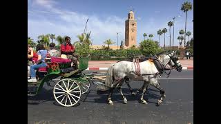 Promenade en Calèche à Marrakech [upl. by Knowlton]