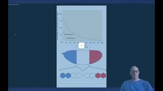 Positional information The French flag model [upl. by Aruol]