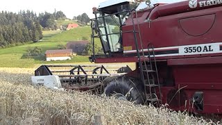 Dreschen mit Laverda 3550 AL  Wheat Harvest [upl. by Loydie]