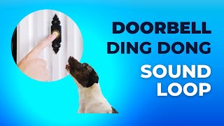 Doorbell Sound Ding Dong  Dog Desensitization Various [upl. by Eivets569]