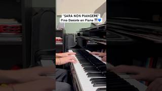 “Sara non piangere” di Pino Daniele Piano Cover🎹💙pianocover music pinodaniele saranonpiangere [upl. by Henson71]