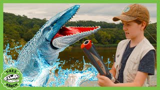 Swimming Dinosaurs amp Mystery Puzzle in a Bottle  TRex Ranch Dinosaur Videos for Kids [upl. by Esdnyl]