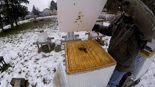 Beekeeping  Why hive moisture boards may NOT be a good idea [upl. by Hercules]