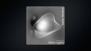 Andu Simion  Slow Lights Ardb Remix [upl. by Vick738]