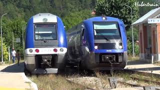 Train  croisements de TER en gare  vidéo 270 HD [upl. by Abigale536]