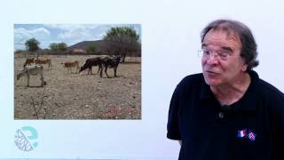 Domínio morfoclimático caatinga [upl. by Oxford]