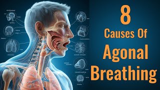 8 Causes of Agonal Breathing  Agonal Respirations amp Dyspnea  Respiratory System [upl. by Tobe]