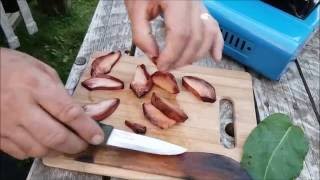 BEEFSTEAK MUSHROOM SUPPER [upl. by Sheppard]