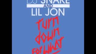 Turn Down For What Lil Jon Ft Juicy J 2 Chainz French Montana Pitbull amp Ludacris MegaMix [upl. by Notgnimer]