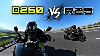 YAMAHA R25 VS DOMİNAR 250  HANGİSİ GEÇTİ  motovlog [upl. by Adaurd]