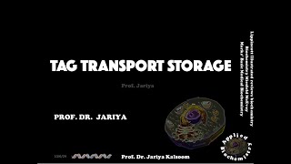 TAG SYNTHESIS TRANSPORT amp STORAGE [upl. by Pratt874]