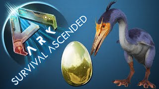 So TAMINT ihr ein HESPERORNIS und bekommt Ihr GOLDENE EIER  EGGS TUTORIAL  ARK ASCENDED [upl. by Gula932]