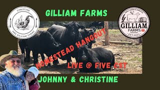 quotHomestead Hangoutquot Live  5 with Gilliam Farms 53 [upl. by Mukerji]