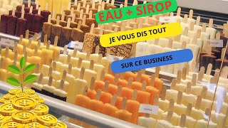 Opportunité daffaires  Démarrer une entreprise de production de glaces à leau [upl. by Paget]