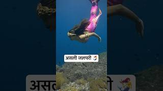 Real Jalpari  असली जलपरी🧜‍♀️  Jalpari video raigarh [upl. by Terrene]