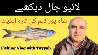 Shahpur Dam ki update  FishingVlogs with Tayyab [upl. by Gnagflow]